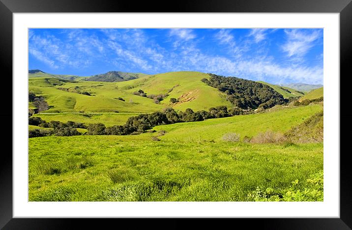 Open Meadow Framed Mounted Print by Eyal Nahmias