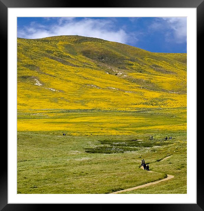 Spring landscape, California Poppy Reserve Framed Mounted Print by Eyal Nahmias
