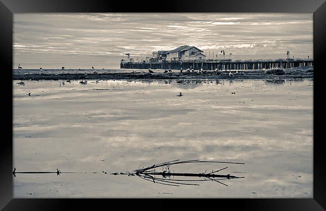 Santa Barbara Sterns wharf Framed Print by Eyal Nahmias