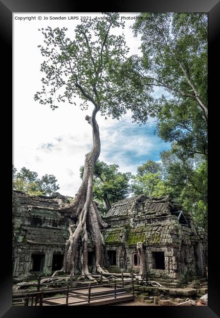 Ta Promh Temple, Cambodia Framed Print by Jo Sowden
