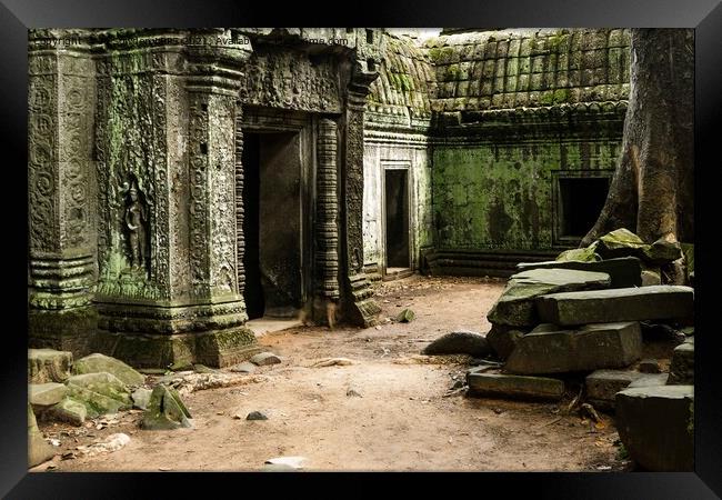 Detail inside Ta Promh Temple, Cambodia Framed Print by Jo Sowden