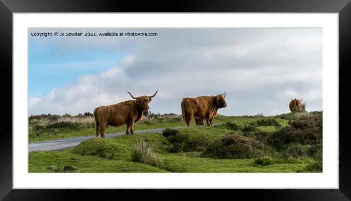 Highland Cows on Dartmoor Framed Mounted Print by Jo Sowden