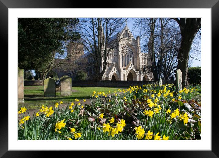 Spring in St Albans Framed Mounted Print by Jo Sowden