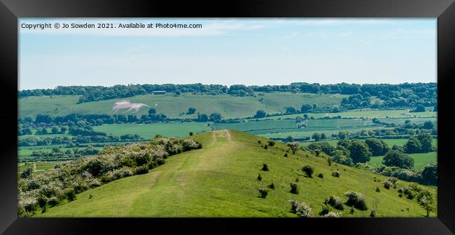 The Lion of Whipsnade Framed Print by Jo Sowden