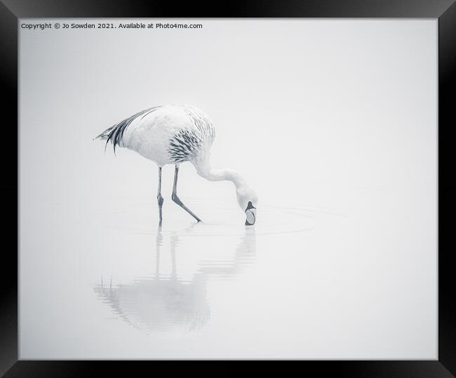 Flamingo in Mono Framed Print by Jo Sowden