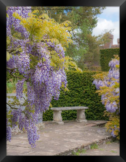 Wisteria Framed Print by Jo Sowden