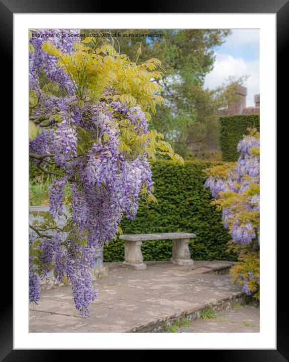 Wisteria Framed Mounted Print by Jo Sowden