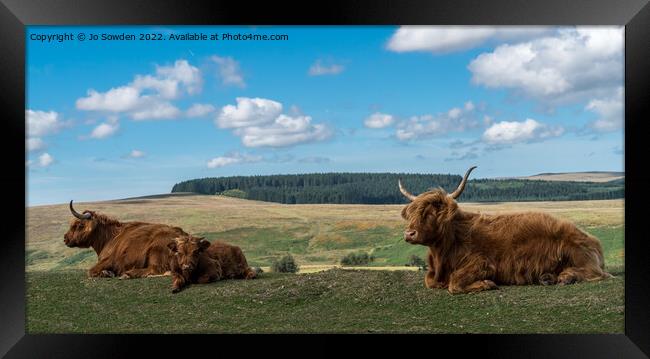 Highland Cows resting Framed Print by Jo Sowden