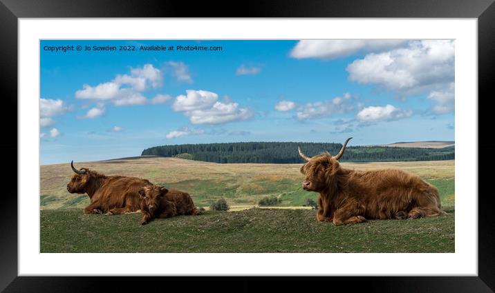 Highland Cows resting Framed Mounted Print by Jo Sowden