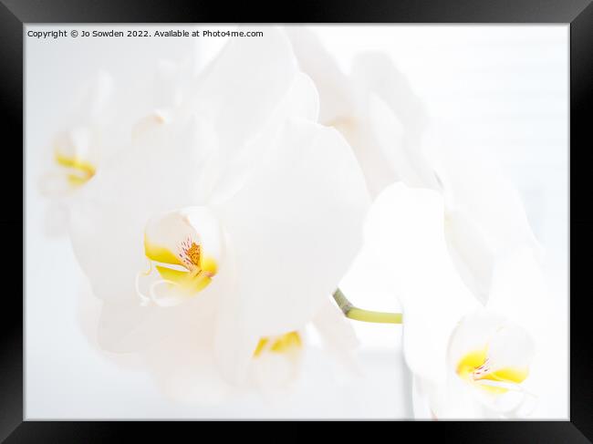 White Orchid Flowers Framed Print by Jo Sowden