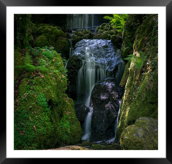 Enchanting Forest Waterfall Framed Mounted Print by Jo Sowden