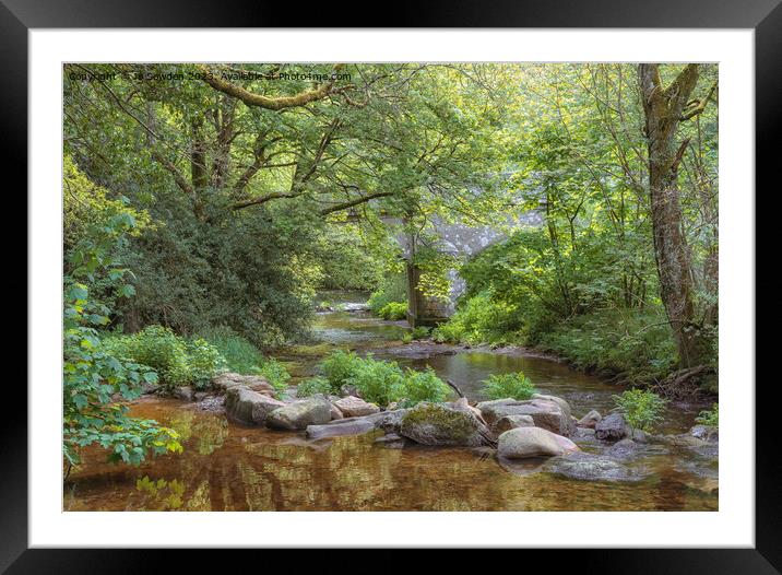 Steps Bridge, Dunsford, Dartmoor Framed Mounted Print by Jo Sowden