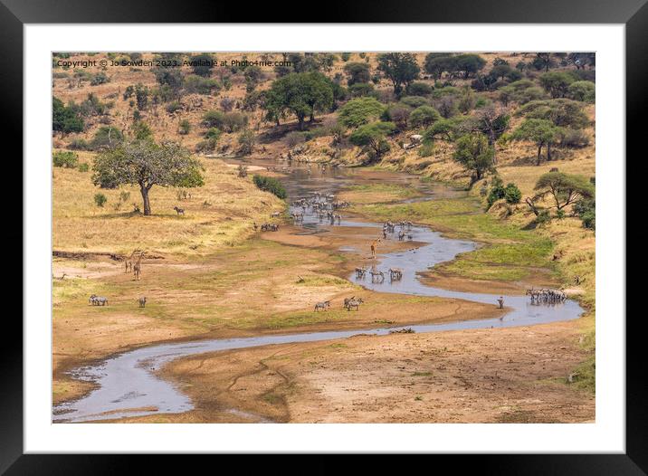 Majestic Animals at the Watering Hole Framed Mounted Print by Jo Sowden