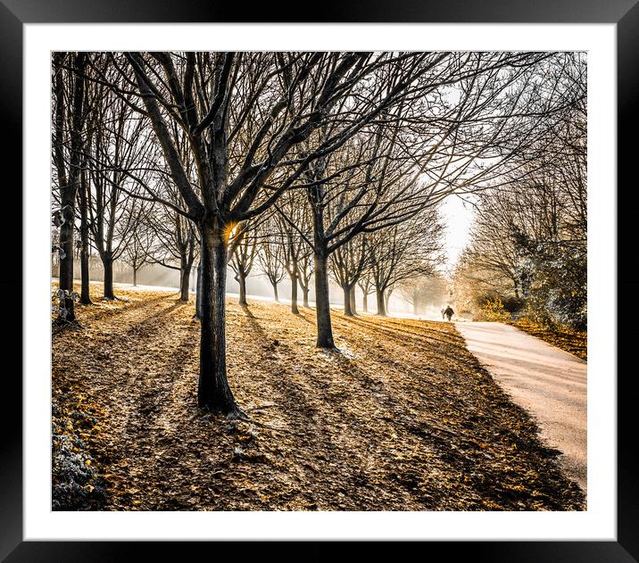 Sunny Winter Morning Framed Mounted Print by Jo Sowden