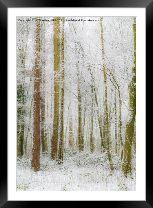 Snowy Woodland, Hertfordshire Framed Mounted Print by Jo Sowden