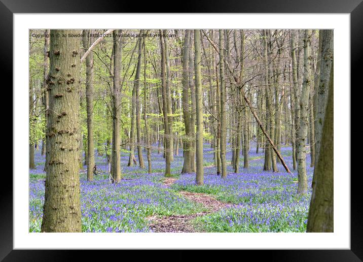 Path through the bluebells Framed Mounted Print by Jo Sowden