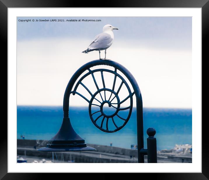 Lyme Regis Seagull Framed Mounted Print by Jo Sowden
