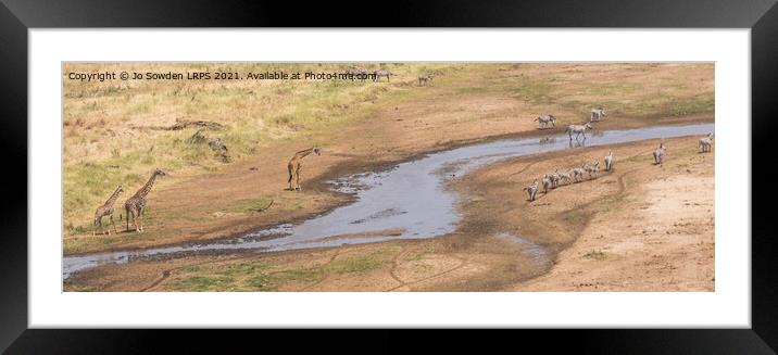 Majestic Animals at the Watering Hole Framed Mounted Print by Jo Sowden