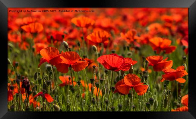 Field or Poppies Framed Print by Jo Sowden