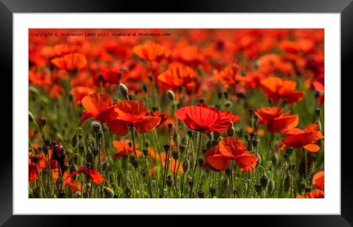 Field or Poppies Framed Mounted Print by Jo Sowden