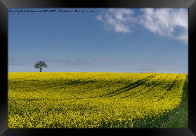 Rapeseed Field, Hertfordshire Framed Print by Jo Sowden
