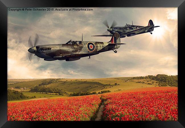  Spitfire over poppiefield Framed Print by Peter Scheelen