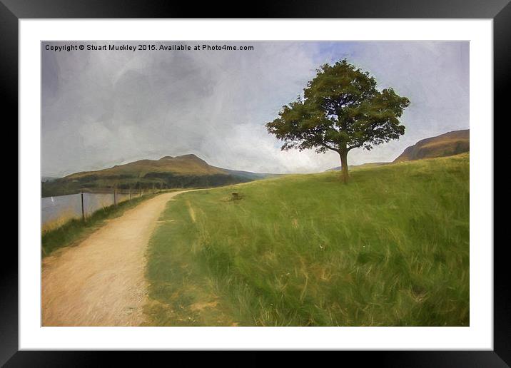  Solitary Tree Framed Mounted Print by Stuart Muckley