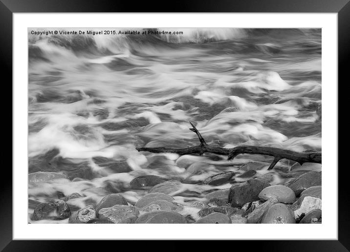 Branch on the shore Framed Mounted Print by Vicente De Miguel