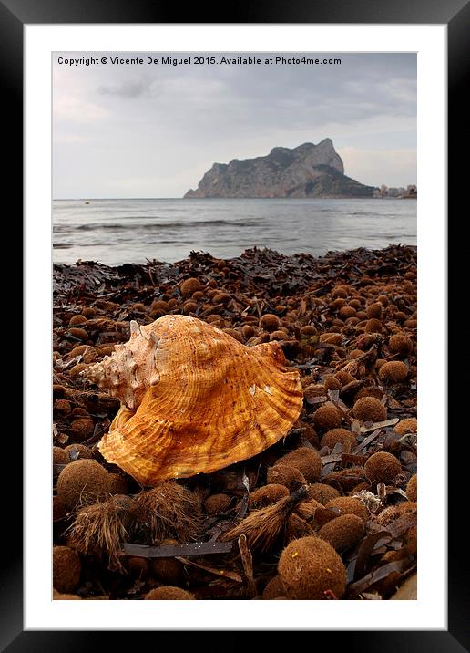  Shell on the beach Framed Mounted Print by Vicente De Miguel