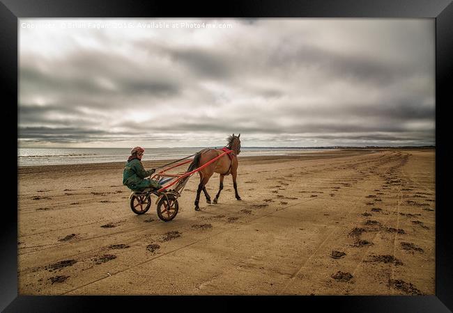 Horse and Cart Framed Print by Brian Fagan