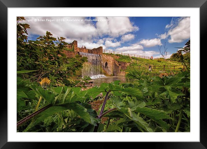 Newstead waterfall Framed Mounted Print by Brian Fagan