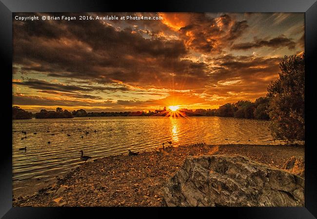 Sunset over Attenborough Framed Print by Brian Fagan