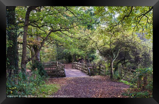 Pooh Bridge in early Autumn Framed Print by Craig Williams