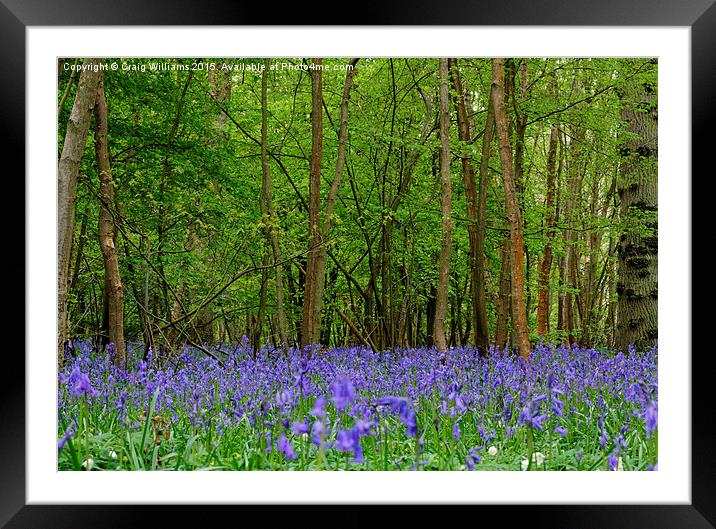  Glory Bells Framed Mounted Print by Craig Williams
