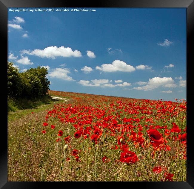  Path to the Beacon Framed Print by Craig Williams