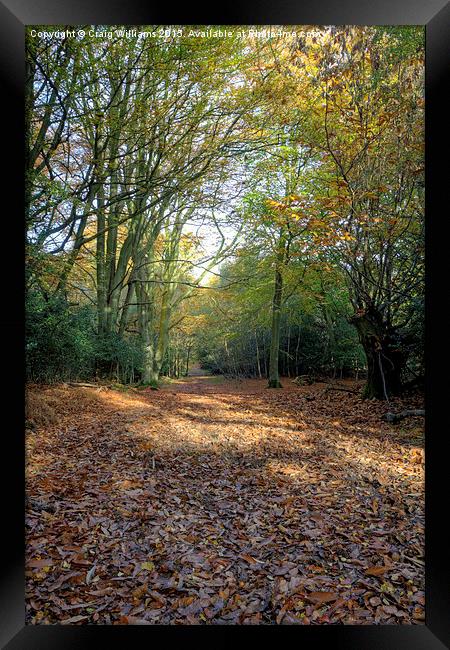  Path through 100 Aker Wood Framed Print by Craig Williams