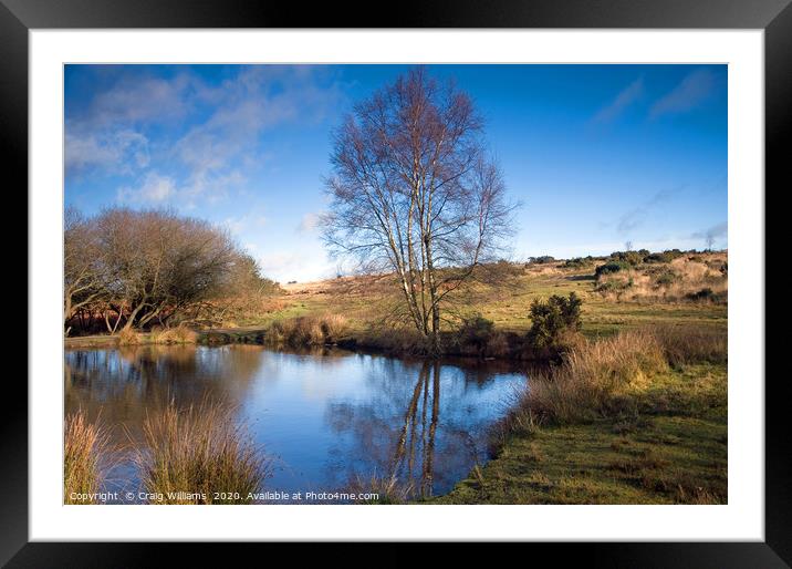Ellison's Pond, Ashdown Forest, East Sussex Framed Mounted Print by Craig Williams