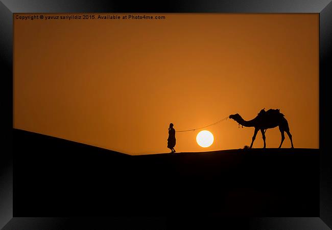  Sunset in Thar Desert Framed Print by yavuz sariyildiz