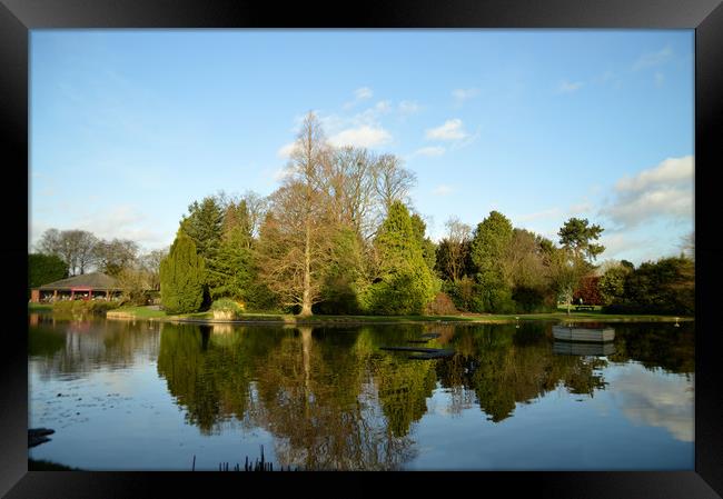 Burnby Hall Gardens Framed Print by Dave Leason