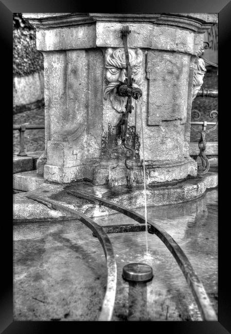 Bernese Water Fountain Framed Print by Paul Williams