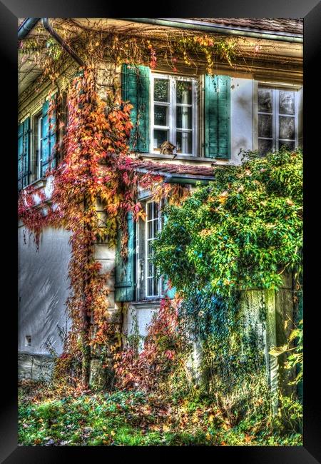 Vine covered Swiss Country Cottage Framed Print by Paul Williams