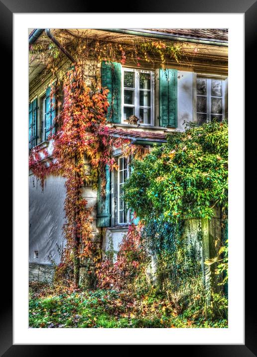 Vine covered Swiss Country Cottage Framed Mounted Print by Paul Williams