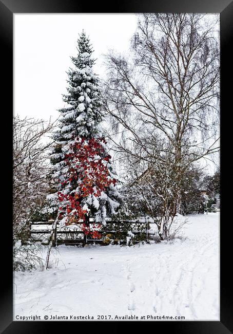 Winter wonderland Framed Print by Jolanta Kostecka