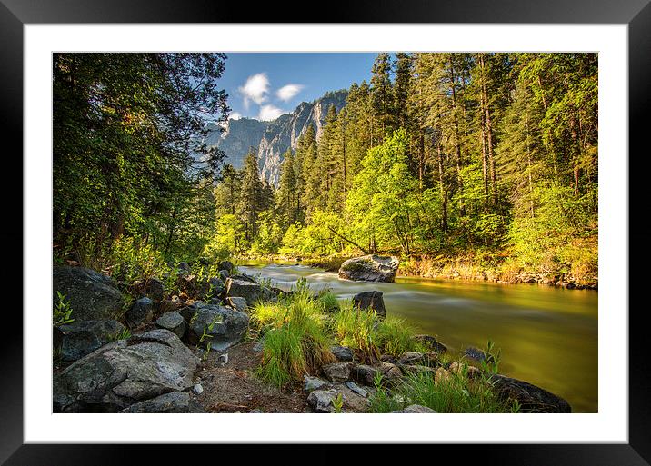  Early morning calm beside the River Merced Framed Mounted Print by Thomas Hipkiss