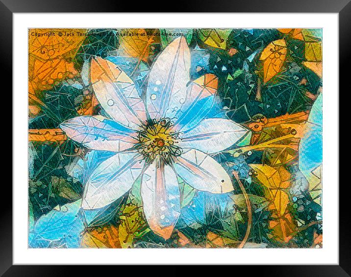 Bejewelled Clematis IV Framed Mounted Print by Jack Torcello
