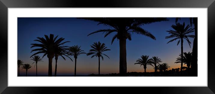 Palm Tree Silhouette Framed Mounted Print by Adrian Brockwell