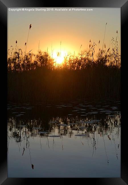  Okavango Delta Sunset Framed Print by Angela Starling