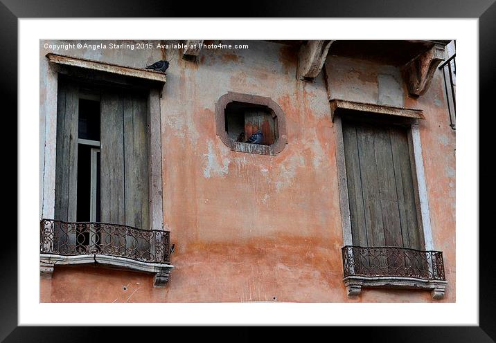  Pigeons relaxing in Bassano Del Grappa in Italy. Framed Mounted Print by Angela Starling