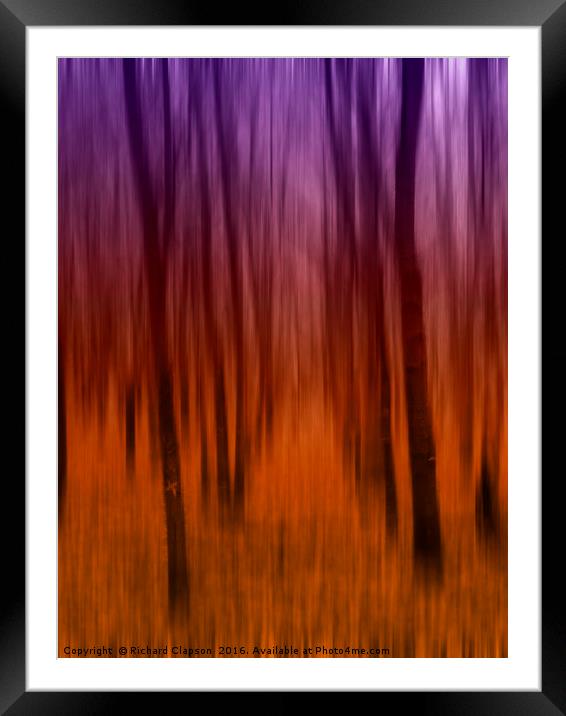 Abstract Trees Framed Mounted Print by Richard Clapson