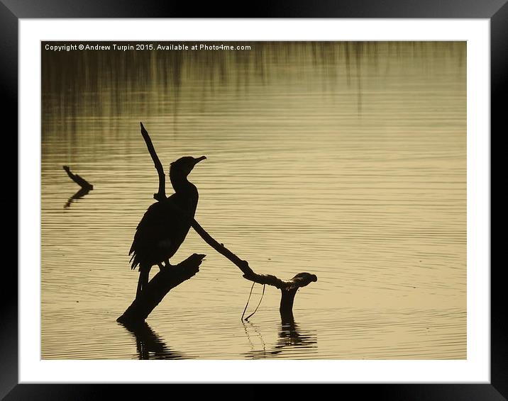  Waiting for the Sun Framed Mounted Print by Andrew Turpin